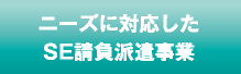 ニーズに対応したSE請負派遣事業 ニーズに対応したSE請負派遣事業